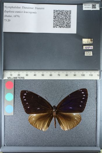 Media type: image;   Entomology 160613
